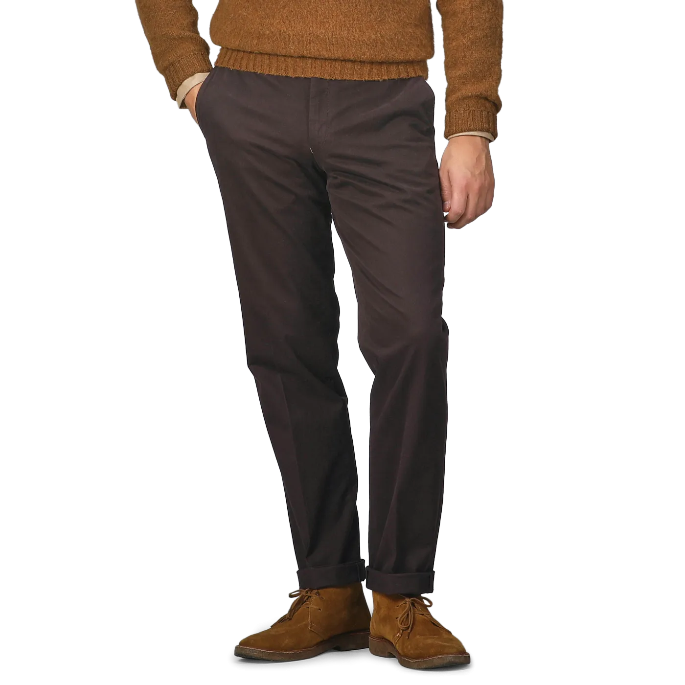 Dark Brown Cotton Stretch Regular Fit Chinos